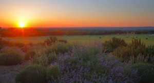 Hill Country Sunset